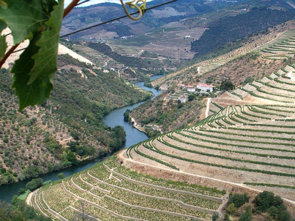 Douro House Loft Villa Tabuaço Eksteriør billede