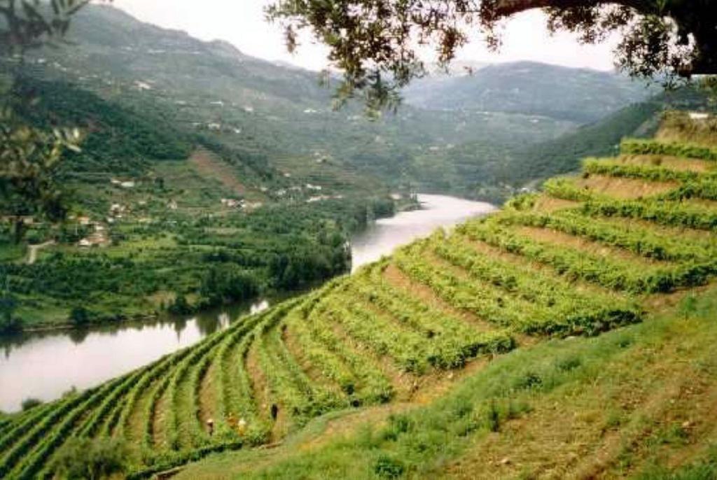 Douro House Loft Villa Tabuaço Eksteriør billede