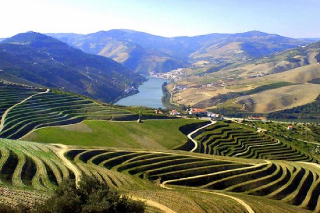Douro House Loft Villa Tabuaço Eksteriør billede